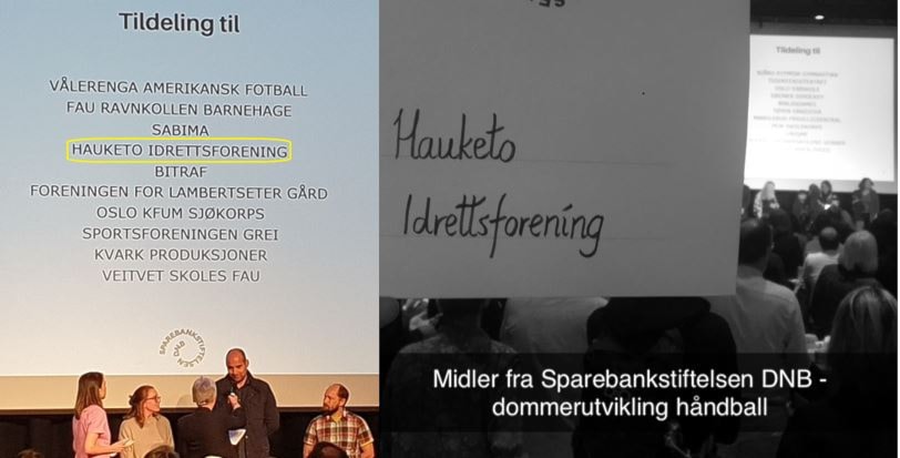 Image for Tildeling fra Sparebankstiftelsen DNB - 15.mai 2019